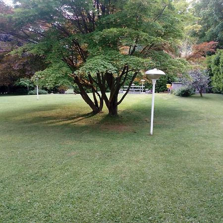 Villa Alice Lesa Zewnętrze zdjęcie